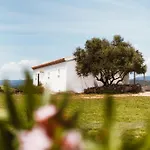 Maison d'hôtes Santu Martine - With Pool - Ischierda Galtellì